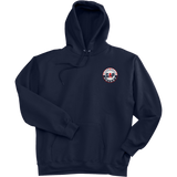 GAP Hockey Super Heavyweight Fleece Hoodie