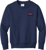 Philadelphia Resistance Youth Core Fleece Crewneck Sweatshirt